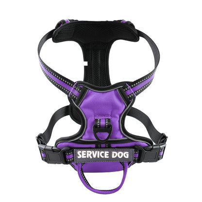 Personalized Y Shape Dog Harness