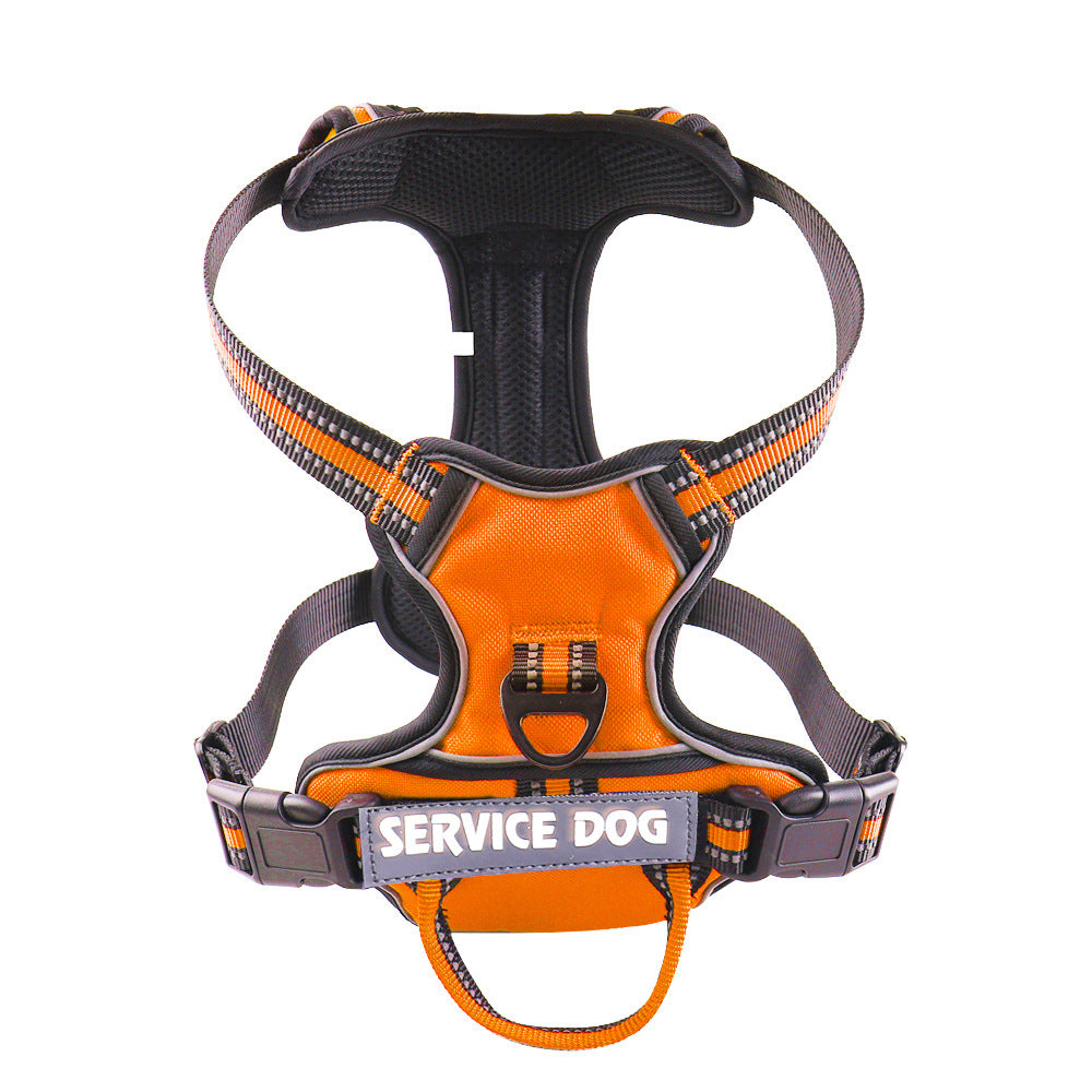 Personalized Y Shape Dog Harness