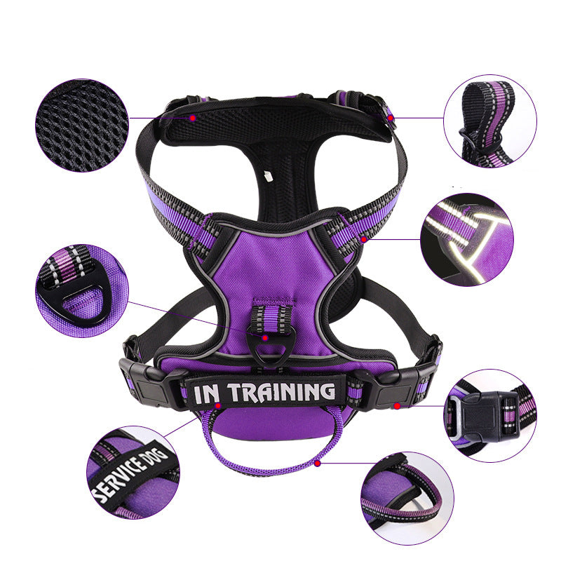 Personalized Y Shape Dog Harness