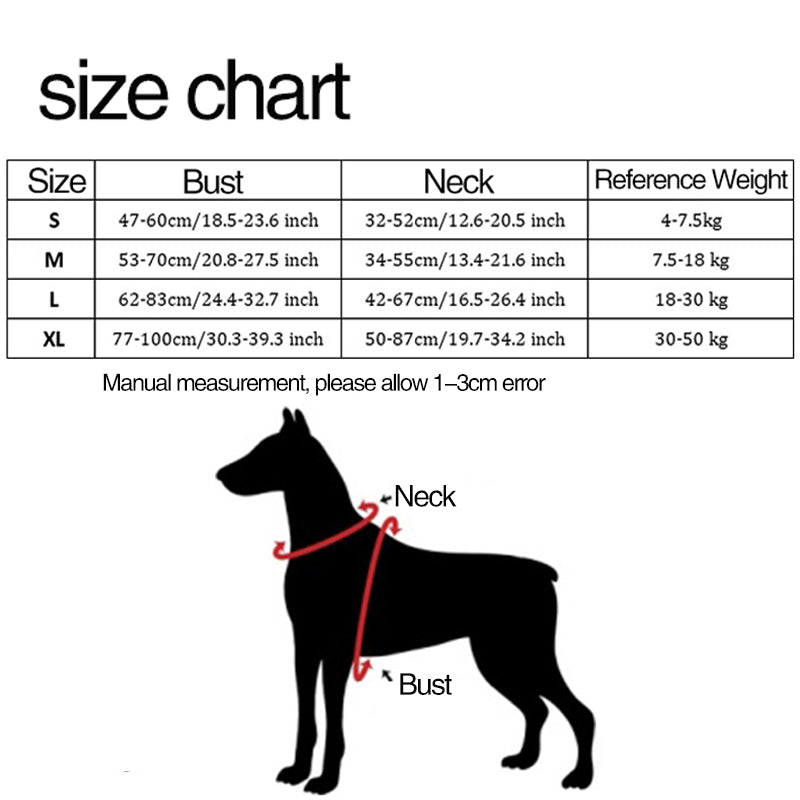 Personalized Y Shape Dog Harness