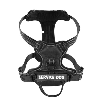 Personalized Y Shape Dog Harness