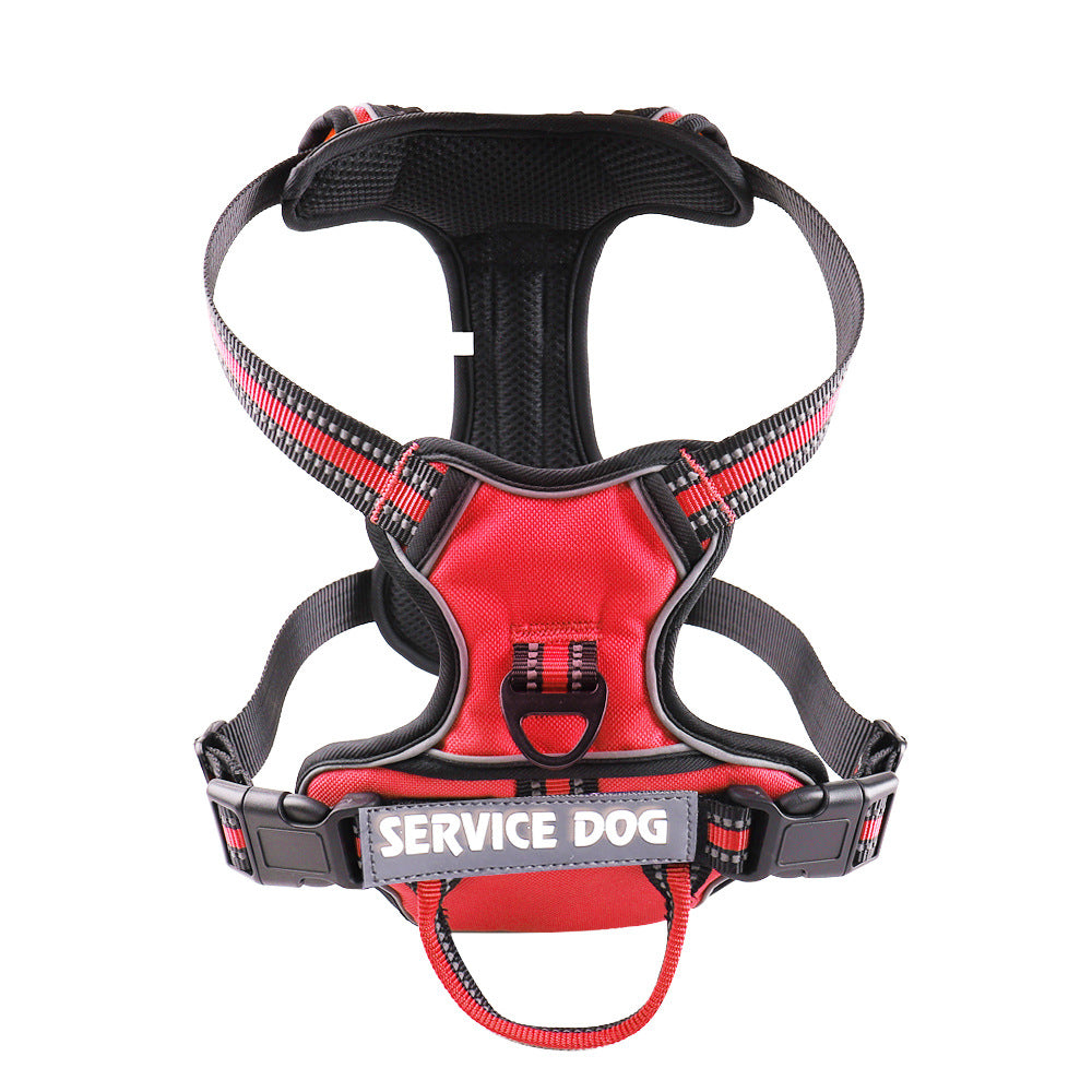 Personalized Y Shape Dog Harness