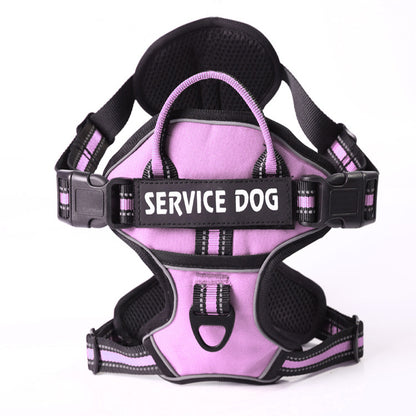 Personalized Y Shape Dog Harness