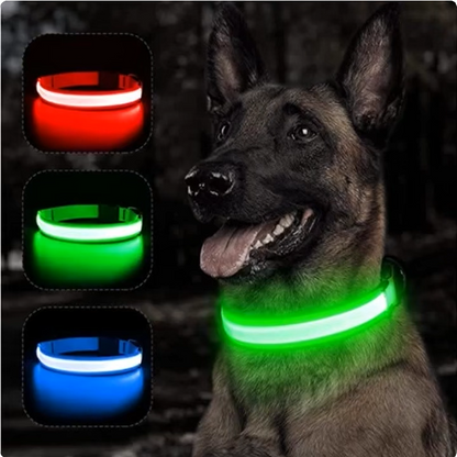 Light up Dog Collar