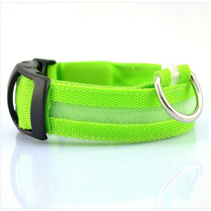 Light up Dog Collar