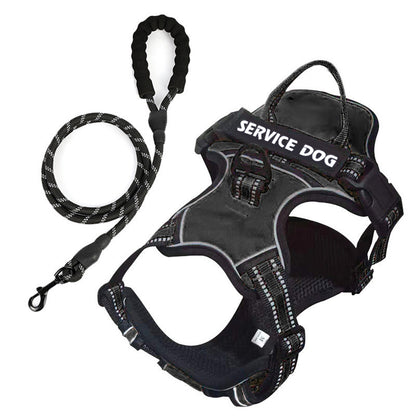 Personalized Y Shape Dog Harness