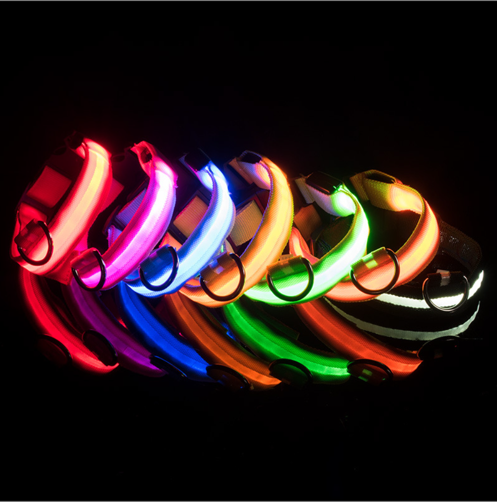 Light up Dog Collar