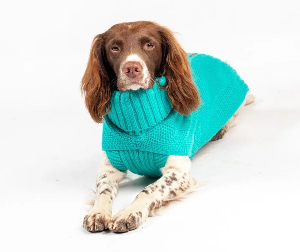 The Jazz Dog Jumper in Peacock Blue