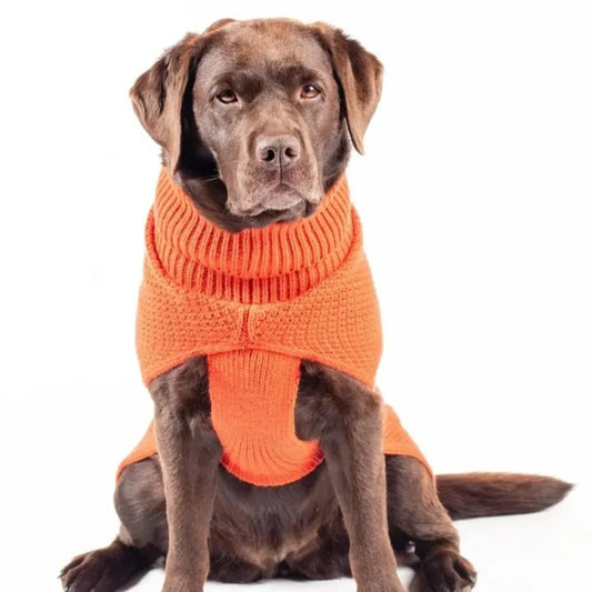 The Jamie Dog Jumper in Burnt Orange