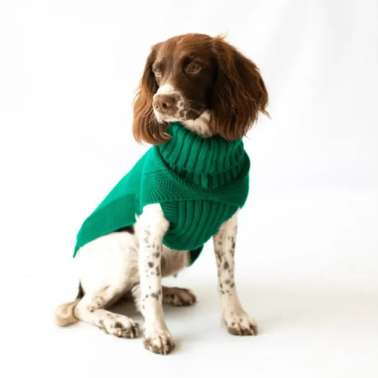 The Jazz Dog Jumper in Green