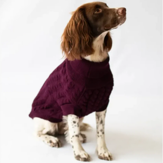 The Rascal Dog Jumper in Grape