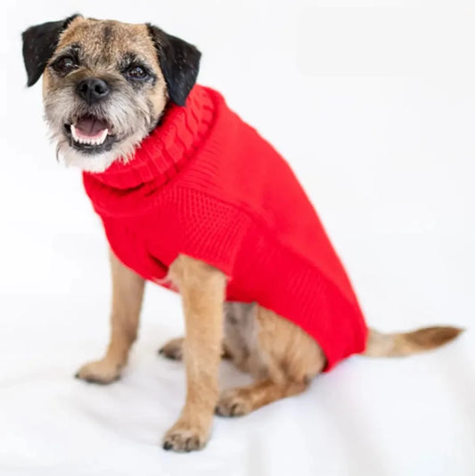 The Jazz Dog Jumper in Red