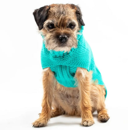 The Jazz Dog Jumper in Peacock Blue