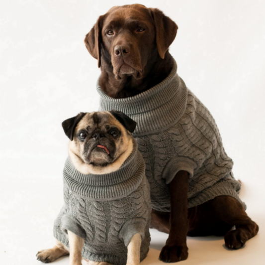 The Rascal Dog Jumper in Grey