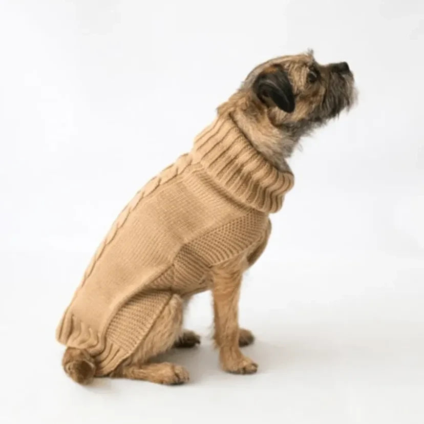 The Jazz Dog Jumper in Camel