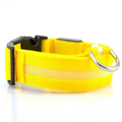 Light up Dog Collar